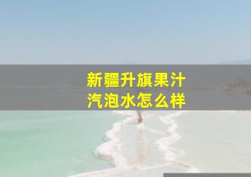 新疆升旗果汁汽泡水怎么样