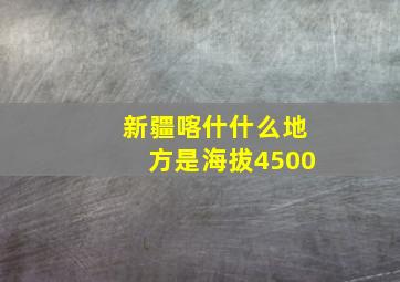 新疆喀什什么地方是海拔4500