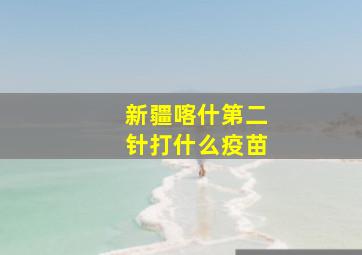 新疆喀什第二针打什么疫苗