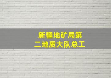 新疆地矿局第二地质大队总工