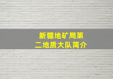 新疆地矿局第二地质大队简介