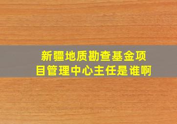 新疆地质勘查基金项目管理中心主任是谁啊