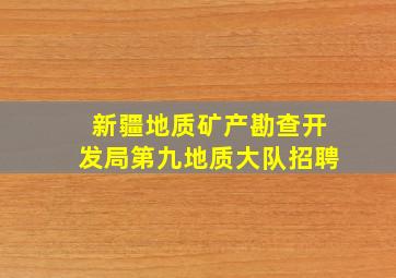 新疆地质矿产勘查开发局第九地质大队招聘