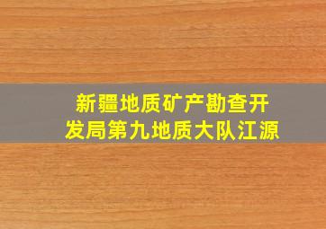 新疆地质矿产勘查开发局第九地质大队江源