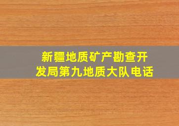 新疆地质矿产勘查开发局第九地质大队电话