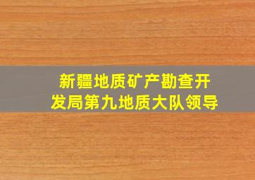 新疆地质矿产勘查开发局第九地质大队领导