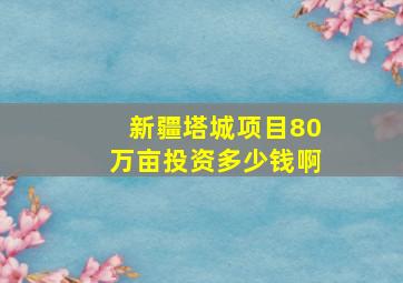 新疆塔城项目80万亩投资多少钱啊