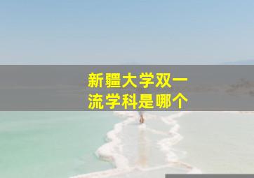 新疆大学双一流学科是哪个