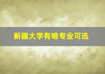 新疆大学有啥专业可选