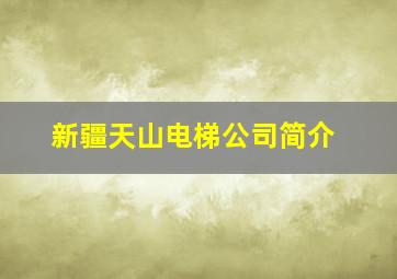 新疆天山电梯公司简介