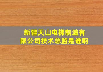 新疆天山电梯制造有限公司技术总监是谁啊