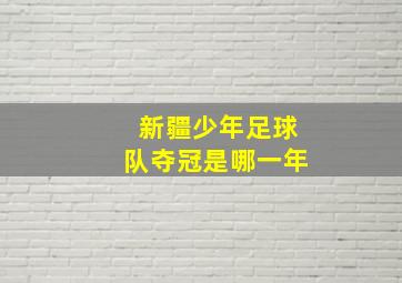 新疆少年足球队夺冠是哪一年