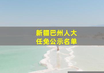 新疆巴州人大任免公示名单