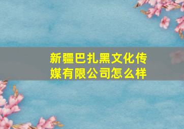 新疆巴扎黑文化传媒有限公司怎么样