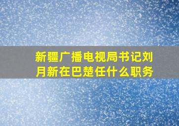 新疆广播电视局书记刘月新在巴楚任什么职务