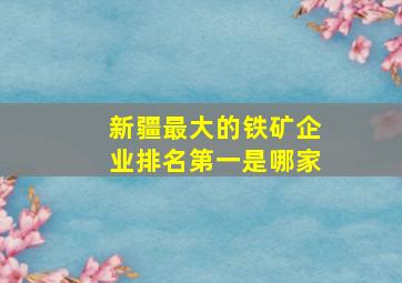 新疆最大的铁矿企业排名第一是哪家