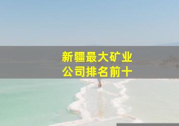 新疆最大矿业公司排名前十