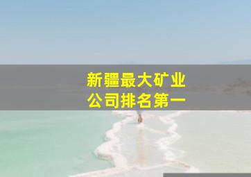 新疆最大矿业公司排名第一