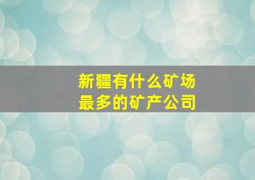 新疆有什么矿场最多的矿产公司