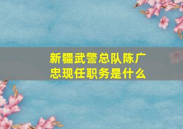 新疆武警总队陈广忠现任职务是什么