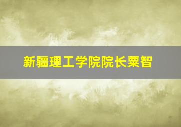 新疆理工学院院长粟智