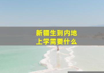 新疆生到内地上学需要什么