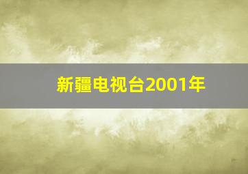 新疆电视台2001年