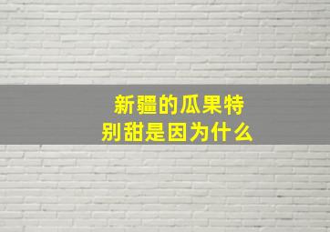 新疆的瓜果特别甜是因为什么