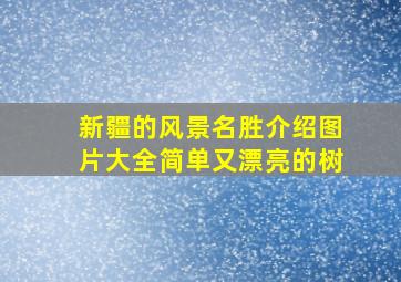 新疆的风景名胜介绍图片大全简单又漂亮的树