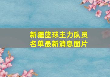 新疆篮球主力队员名单最新消息图片