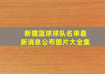 新疆篮球球队名单最新消息公布图片大全集