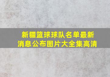 新疆篮球球队名单最新消息公布图片大全集高清