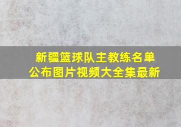 新疆篮球队主教练名单公布图片视频大全集最新