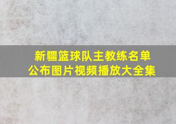 新疆篮球队主教练名单公布图片视频播放大全集