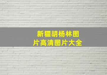 新疆胡杨林图片高清图片大全