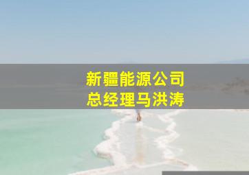 新疆能源公司总经理马洪涛