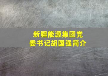 新疆能源集团党委书记胡国强简介