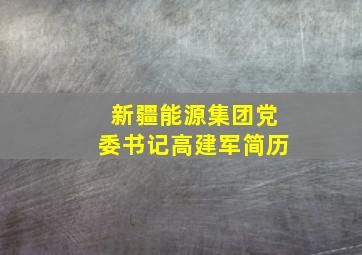 新疆能源集团党委书记高建军简历