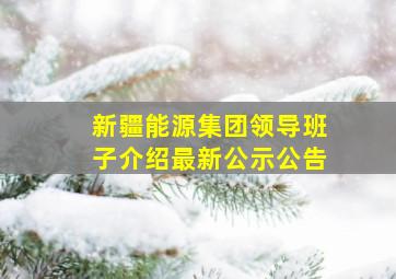 新疆能源集团领导班子介绍最新公示公告