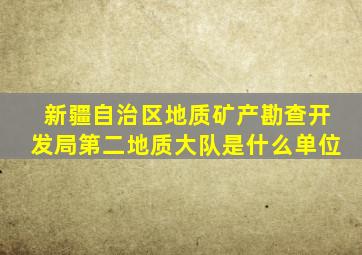 新疆自治区地质矿产勘查开发局第二地质大队是什么单位