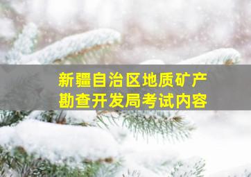 新疆自治区地质矿产勘查开发局考试内容