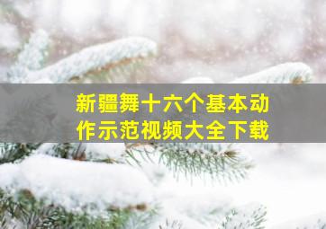 新疆舞十六个基本动作示范视频大全下载