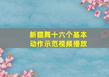 新疆舞十六个基本动作示范视频播放