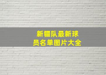 新疆队最新球员名单图片大全