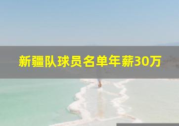 新疆队球员名单年薪30万