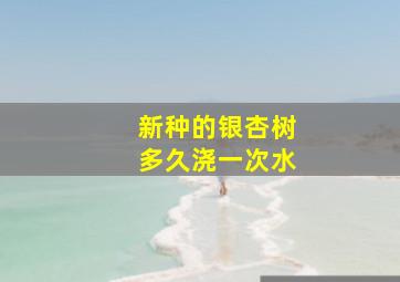 新种的银杏树多久浇一次水