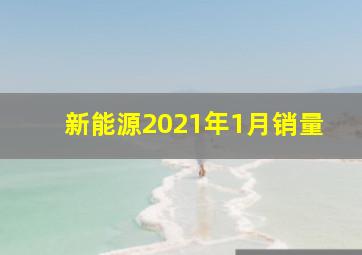 新能源2021年1月销量