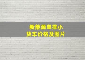 新能源单排小货车价格及图片