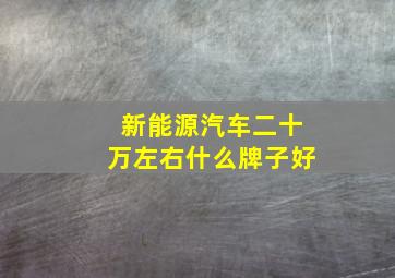 新能源汽车二十万左右什么牌子好