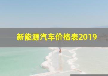 新能源汽车价格表2019